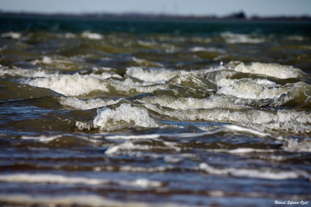 Baie de l'aiguillon