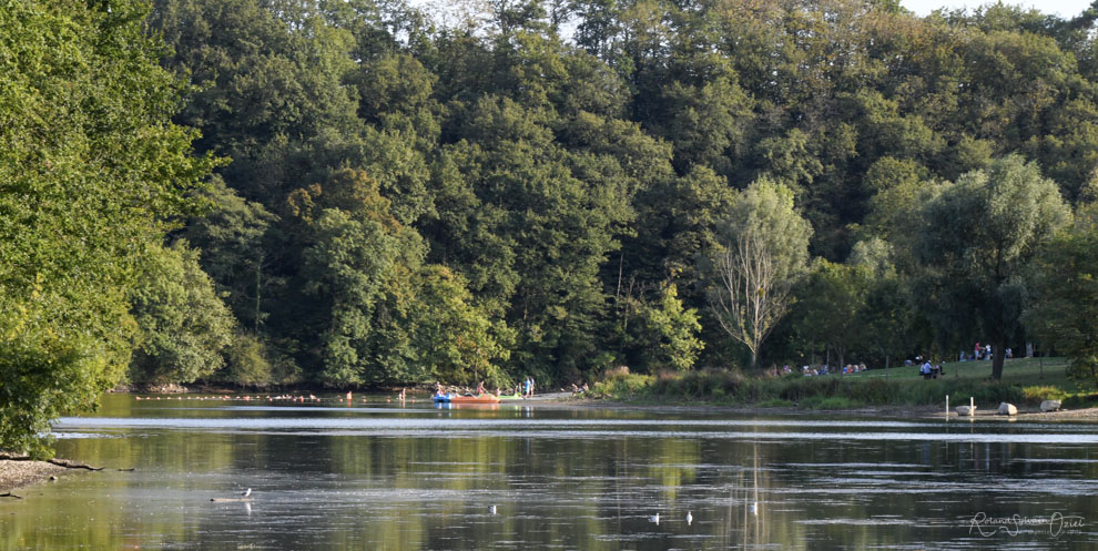 Lac de retenue de touchegray avec sa base de loisirs à Chantonnay