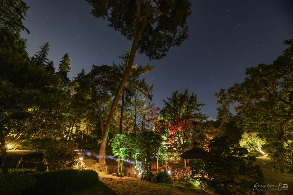 Visite nocturne du parc oriental de maulévrier