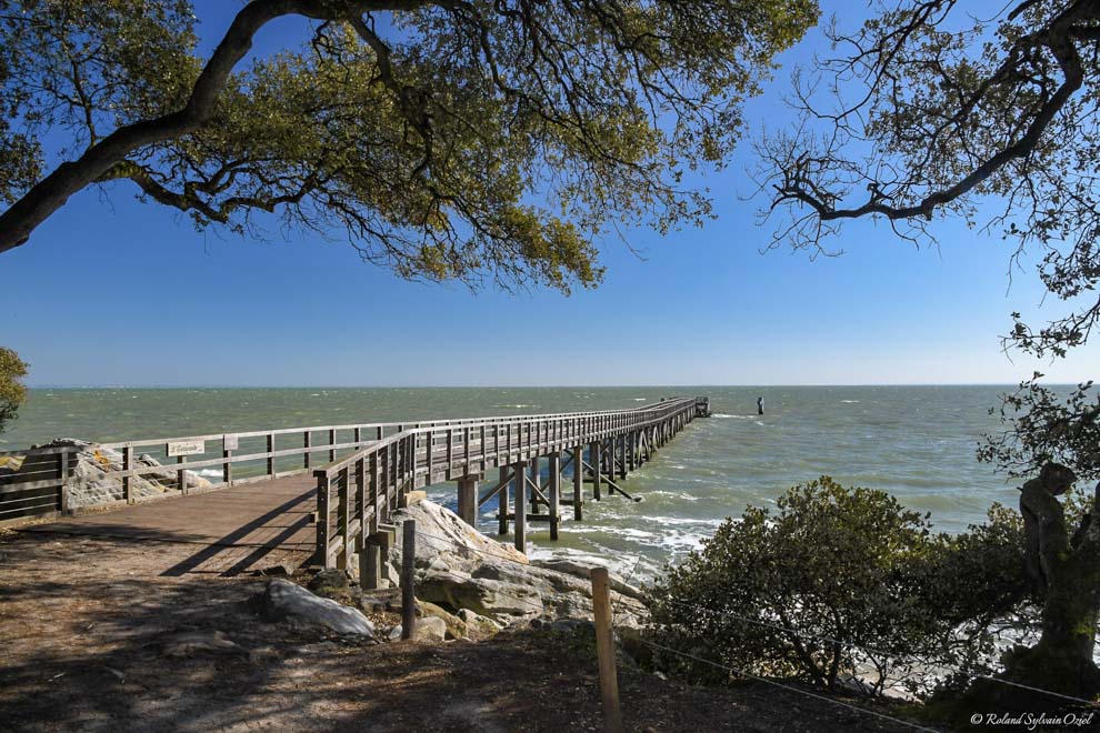 Estacade du Bois de la Chaize à Noirmoutier