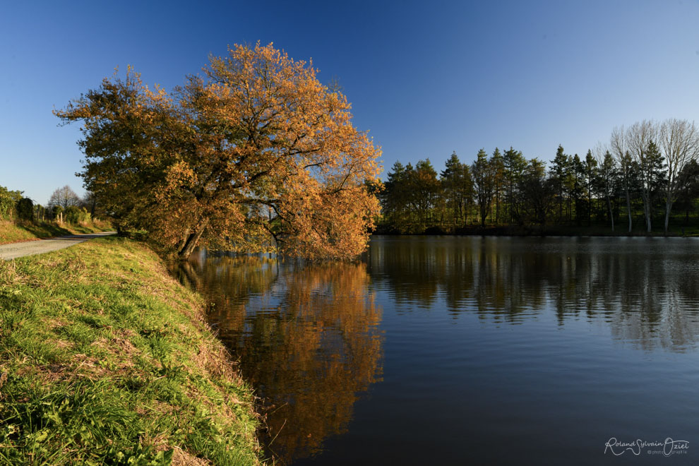 Gîtes proches d'un étang ou lac en Vendée