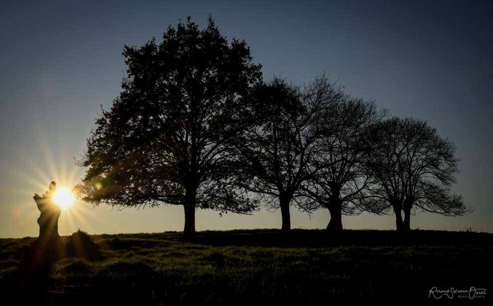 Coucher de soleil en Vendée