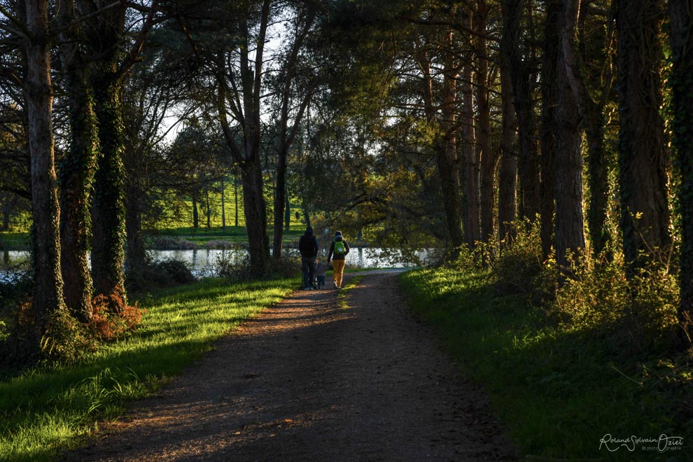 Gîtes proches d'un lac en Vendée