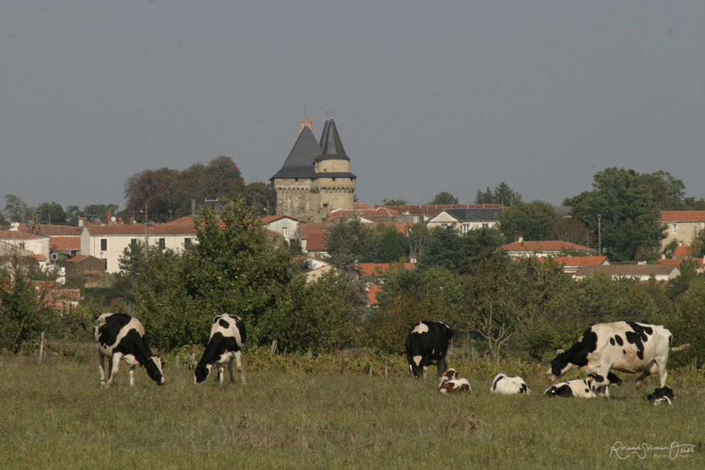 Gîtes Sigournais visite du château