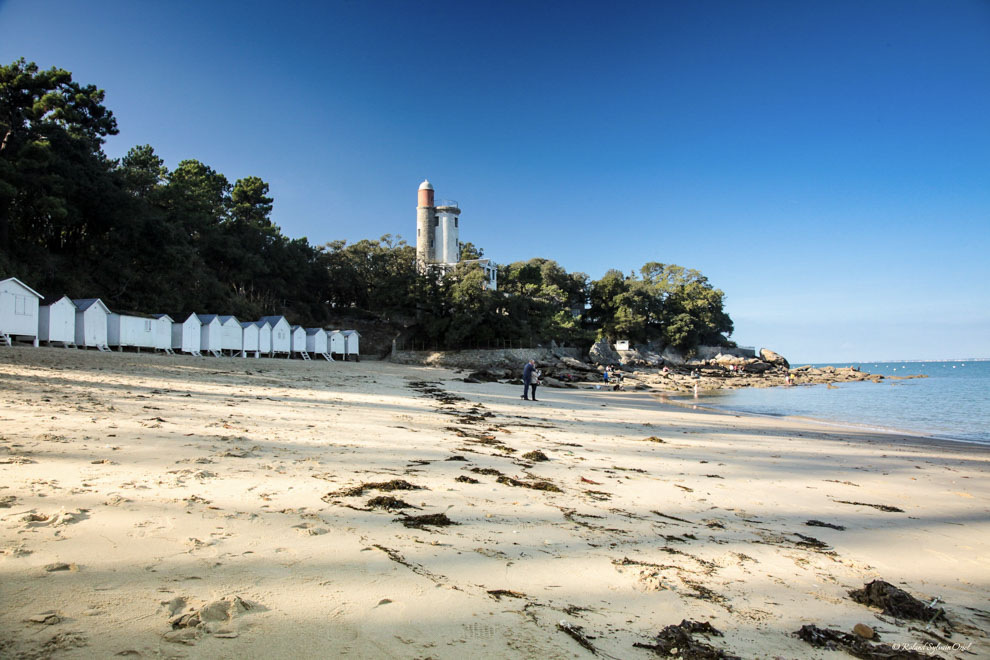 Anse Rouge Bois de la Chaize