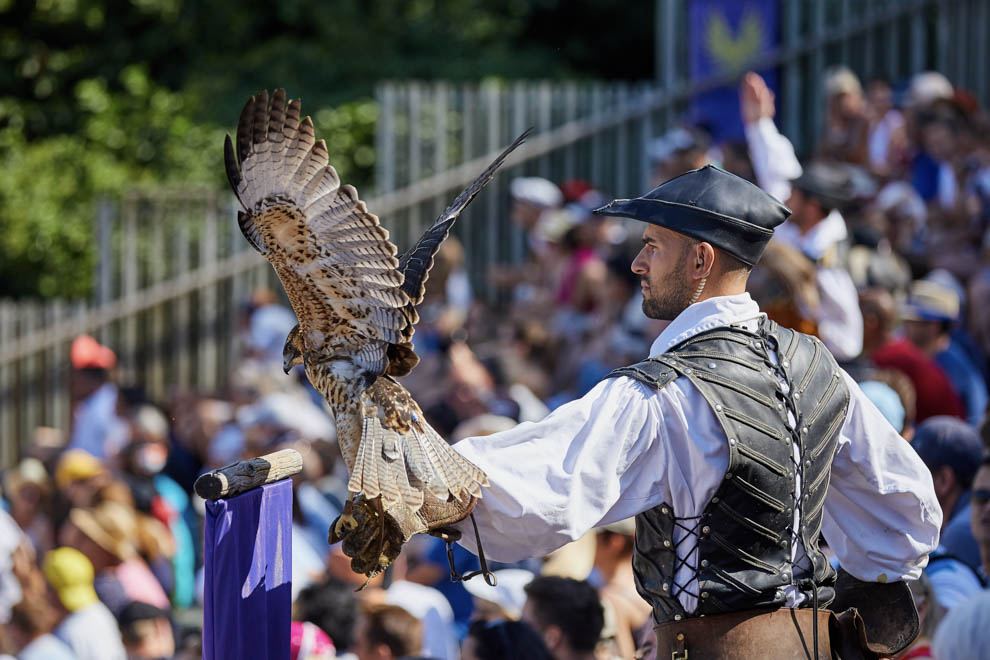 Le Bal des Oiseaux Fantôme spectacle du Puy du Fou