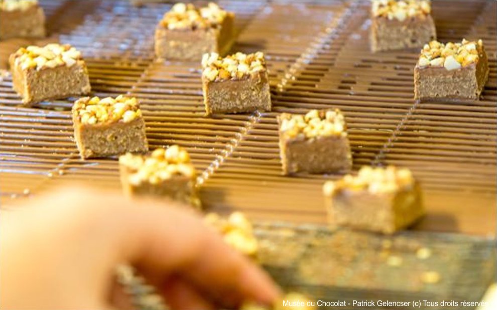 Gîtes proches du musèe du chocolat à la roche sur yon