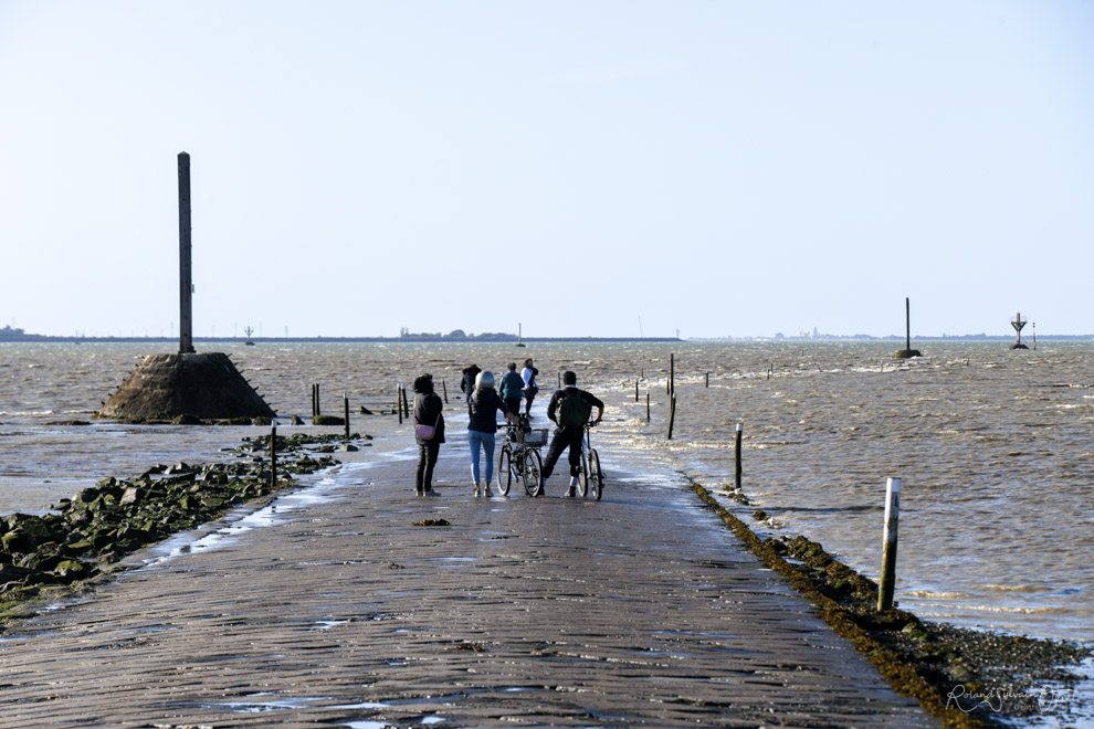 A marée montante sur le Passage du Gois en Vendée