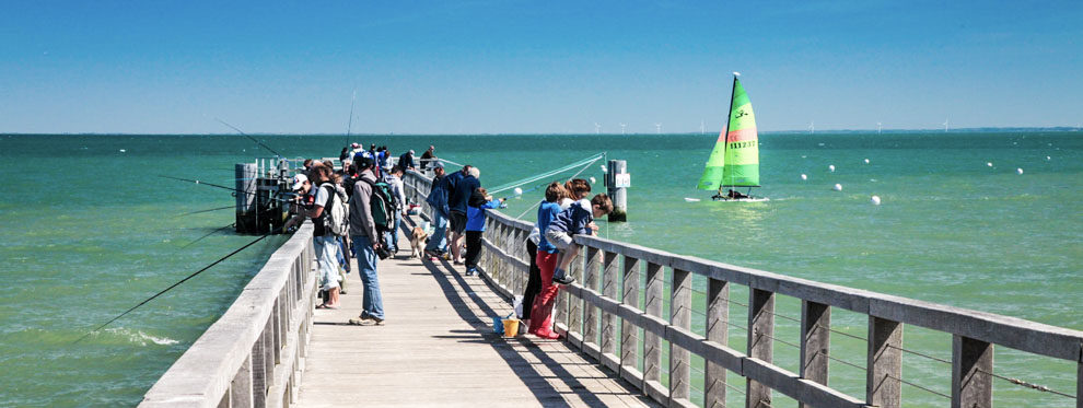 estacade noirmoutier bois de la chaize