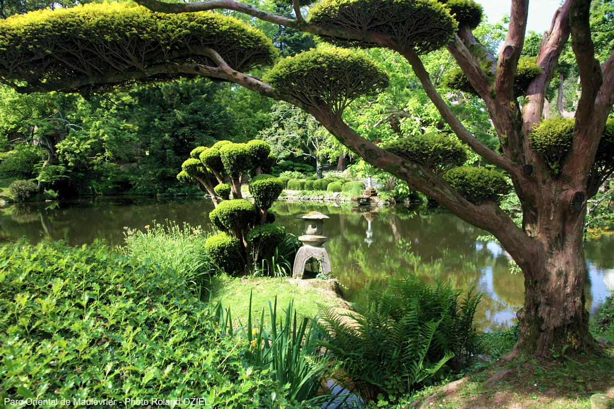 Parc floral et oriental de maulévrier