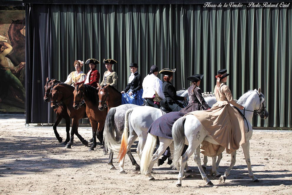 Visite du Haras de la Vendée